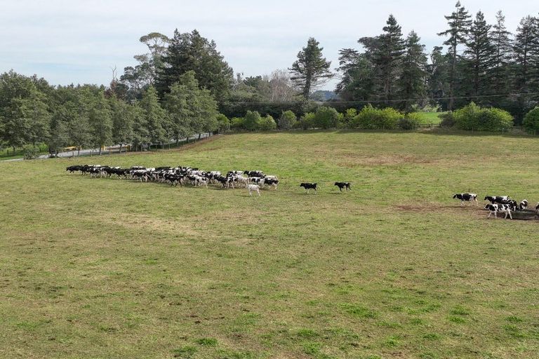 Photo of property in 59 Parallel Road, Cambridge, 3495