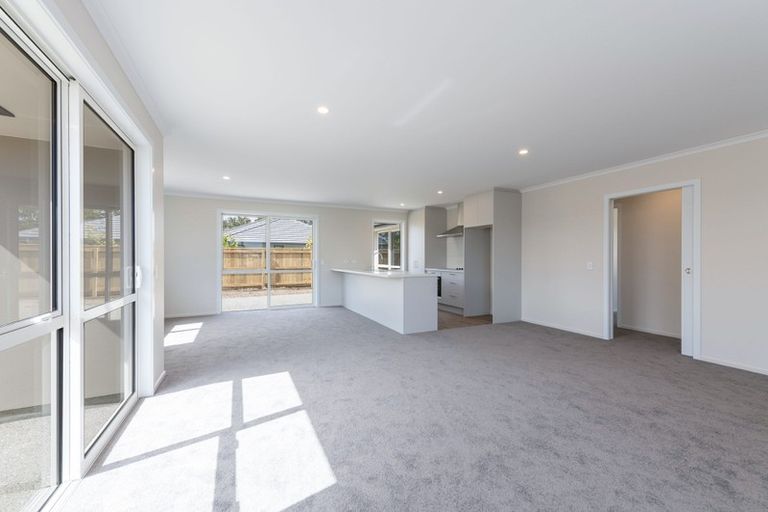Photo of property in 17 Camberley Road, Richmond, 7020