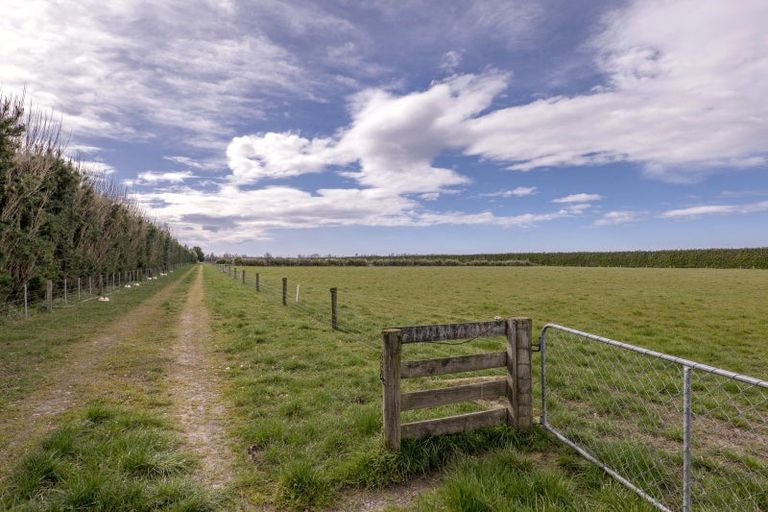 Photo of property in 201 Hollands Road, Tinwald, Ashburton, 7771