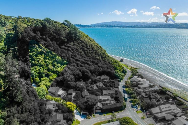 Photo of property in 8f Tawa Street, Eastbourne, Lower Hutt, 5013