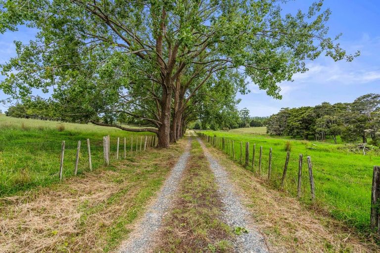 Photo of property in 559 Old Kaipara Road, Kaipara Flats, Warkworth, 0981