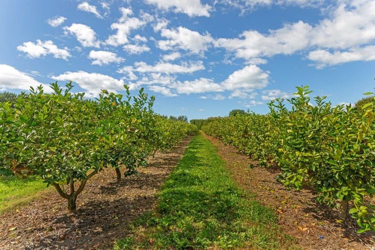 Photo of property in 34 Bell Road, Matawhero, Gisborne, 4071