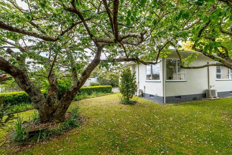 Photo of property in 26 Costley Street, Carterton, 5713