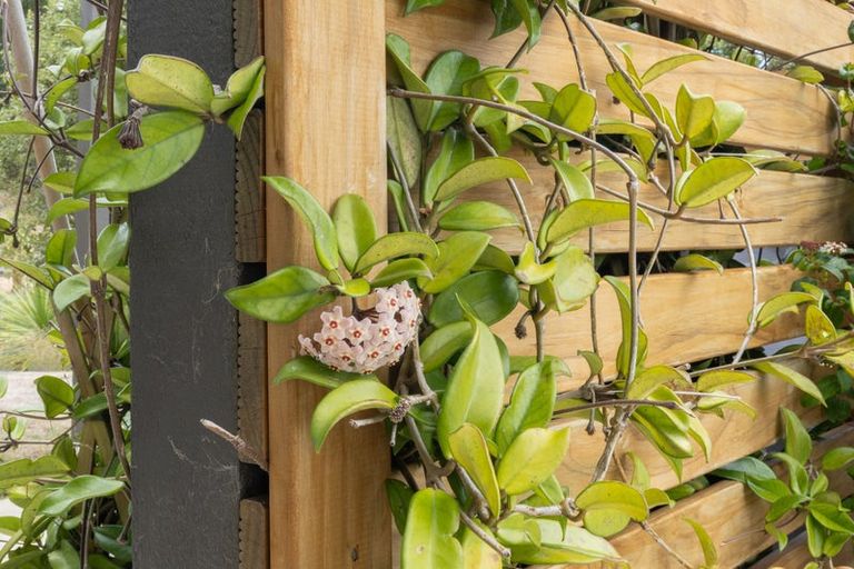 Photo of property in 12 Quail Way, Waitarere, Levin, 5510