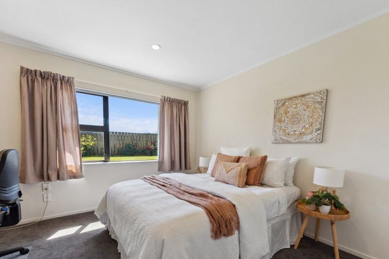 Photo of property in 223 Heatherlea East Road, Levin, 5571