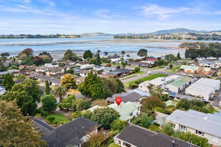 Photo of property in 36 Fourteenth Avenue, Tauranga South, Tauranga, 3112