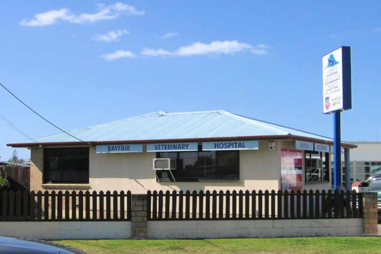 Photo of property in 61 Farm Street, Mount Maunganui, 3116