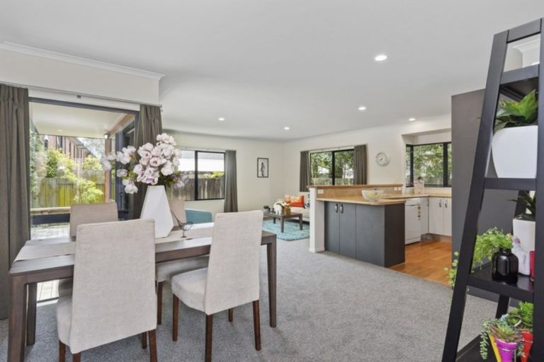 Photo of property in 19b Nineteenth Avenue, Tauranga South, Tauranga, 3112