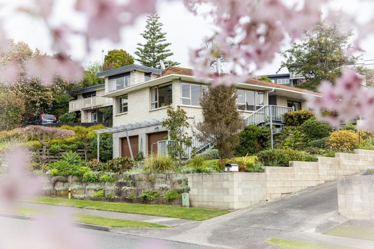 Photo of property in 24 Tokomaru Drive, Havelock North, 4130