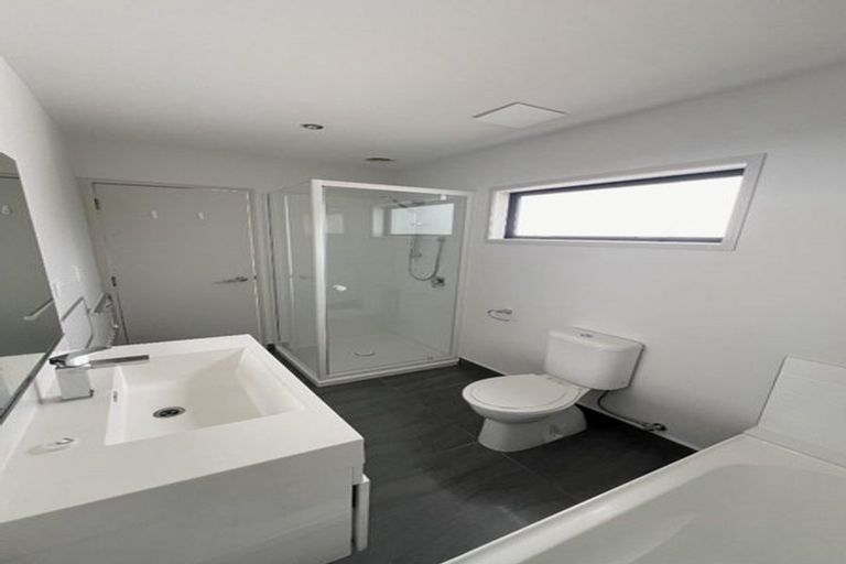 Photo of property in 1/195 Massey Street, Frankton, Hamilton, 3204