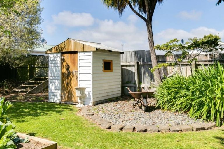 Photo of property in 20 Mcvay Street, Napier South, Napier, 4110