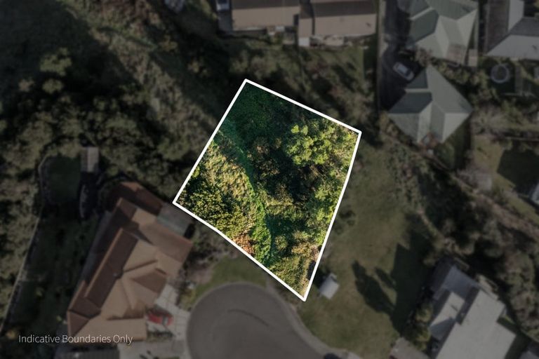 Photo of property in 21 Ohinemuri Place, Paeroa, 3600