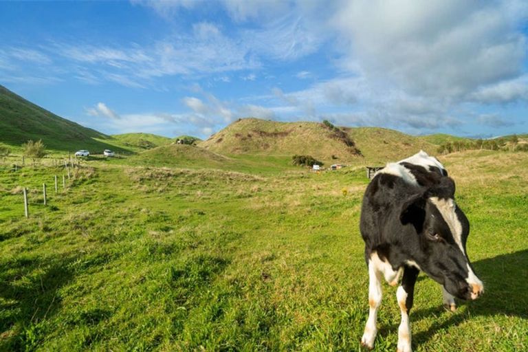 Photo of property in 111 Tarver Lane, Pikowai, Matata, 3194