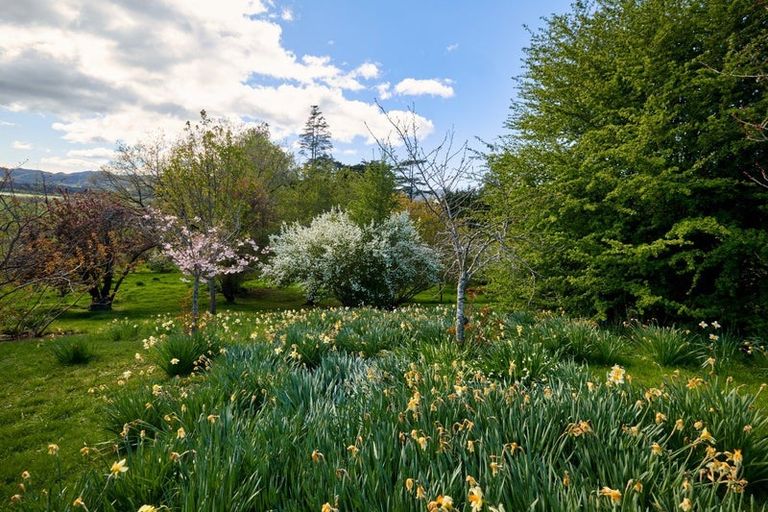 Photo of property in Connemara, 242 Sisters Road, Ferniehurst, Cheviot, 7384