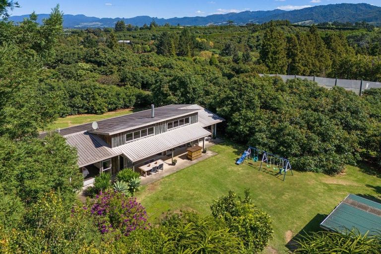Photo of property in 463 State Highway, Tahawai, Katikati, 3170