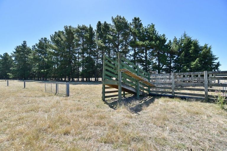 Photo of property in 317 Innes Road, Glasnevin, Amberley, 7482