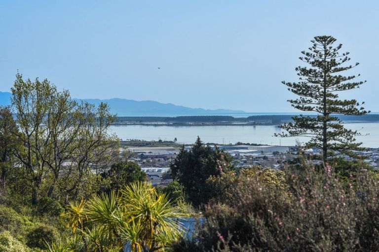 Photo of property in 12 George Kidd Street, Richmond, 7020