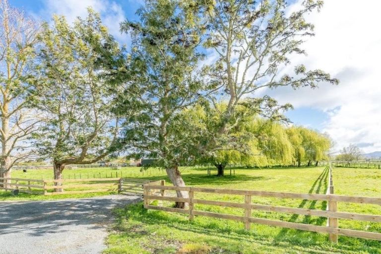 Photo of property in 45 Benn Road, Cambridge, 3495