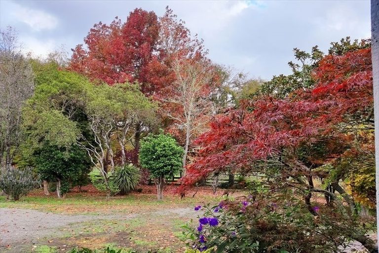 Photo of property in 930 Dairy Flat Highway, Dairy Flat, Albany, 0792