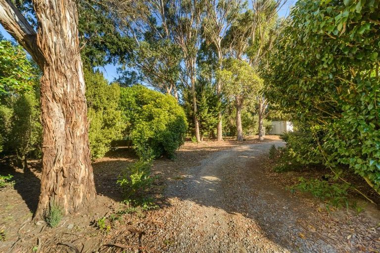 Photo of property in 576 Wellington Road, Marton, 4710