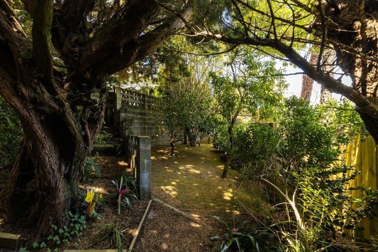 Photo of property in 41a Sole Avenue, Bell Block, New Plymouth, 4312