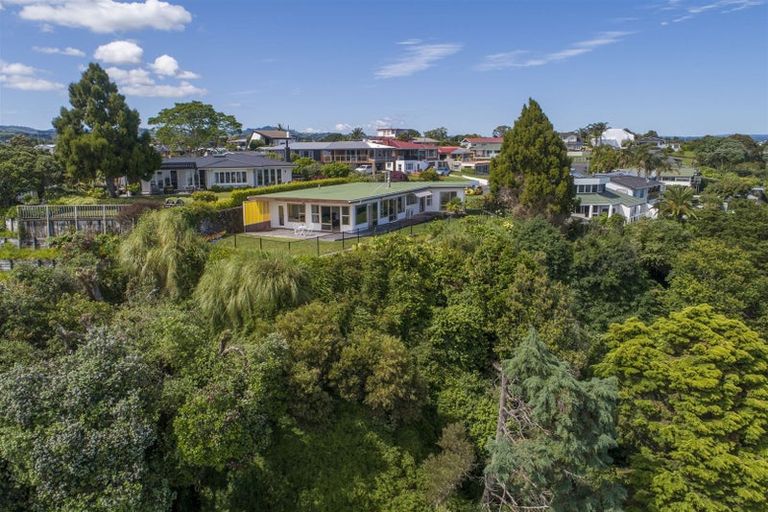 Photo of property in 43 Vine Avenue, Maungatapu, Tauranga, 3112