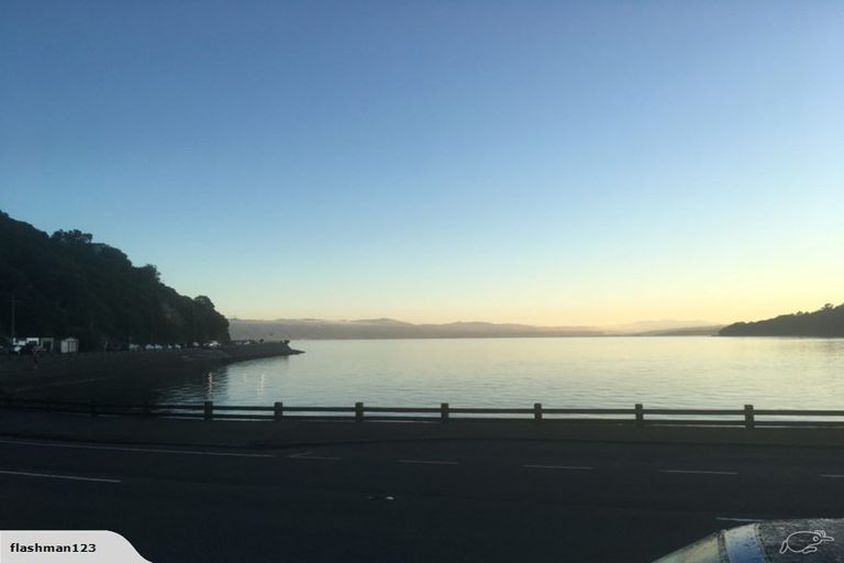 Photo of property in 218 Evans Bay Parade, Hataitai, Wellington, 6021