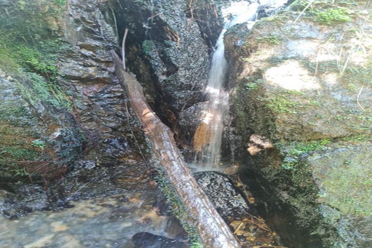 Photo of property in 539 Pahiatua Aokautere Road, Aokautere, 4471