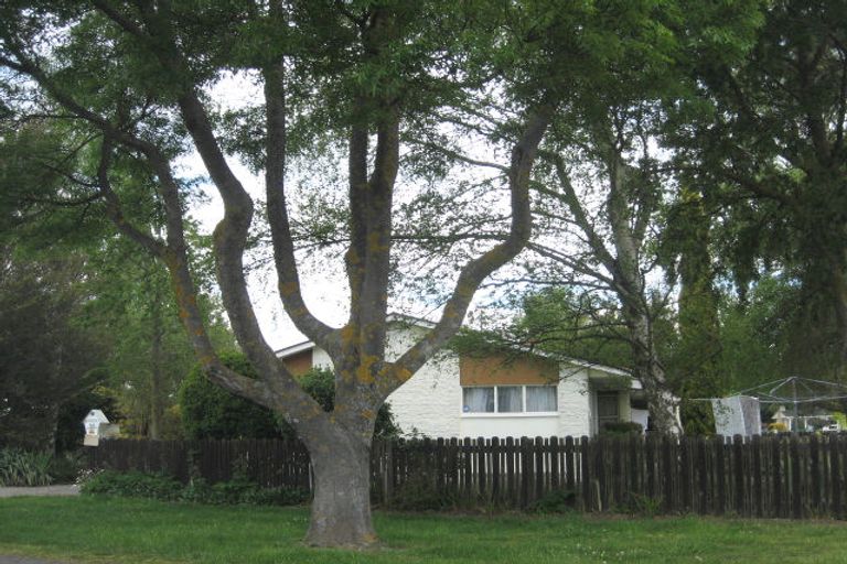 Photo of property in 38 Park Avenue, Oxford, 7430