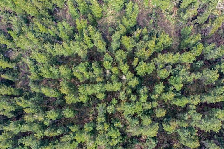 Photo of property in 136 Burnt Hill Road, Burnt Hill, Oxford, 7495