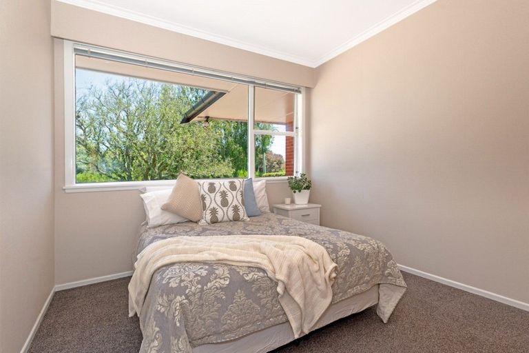 Photo of property in 95 Cameron Road, Makauri, Gisborne, 4071