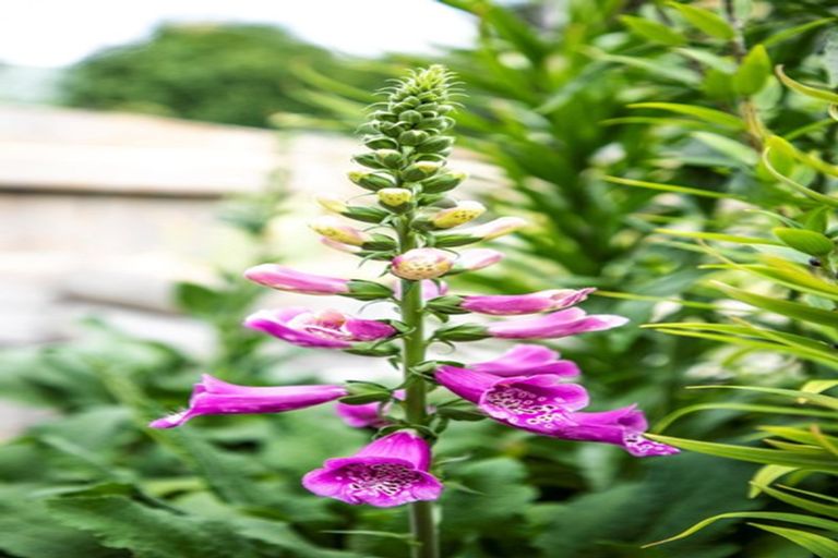 Photo of property in 16 Macmillan Street, Katikati, 3129