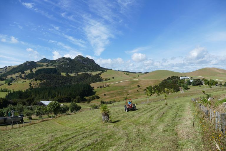 Photo of property in 234 Kerr Road, Parua Bay, Onerahi, 0192