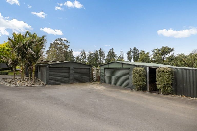 Photo of property in 293 Pahoia Road, Whakamarama, Tauranga, 3172