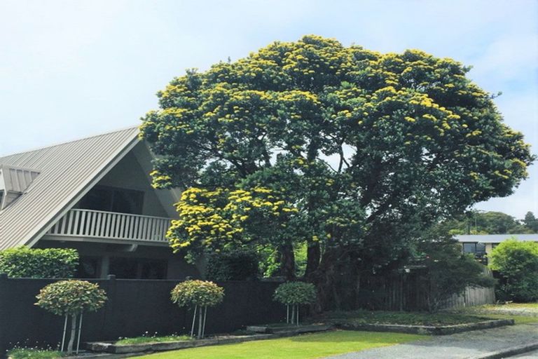 Photo of property in 31 Power Road, Karoro, Greymouth, 7805