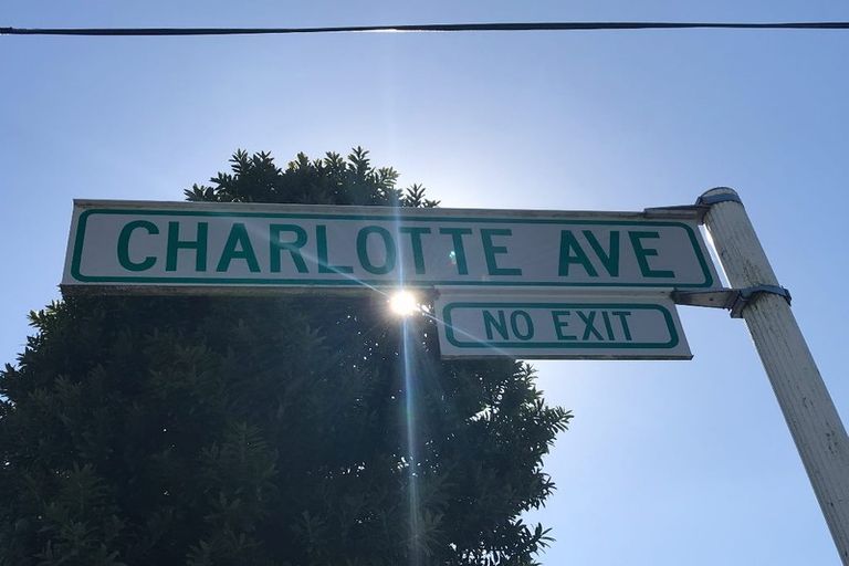 Photo of property in 19 Charlotte Avenue, Brooklyn, Wellington, 6021