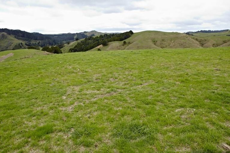 Photo of property in 43 Haul Road, Tahekeroa, Kaukapakapa, 0873