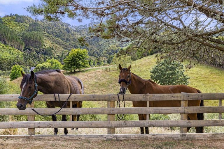 Photo of property in 1007 Old Mountain Road, Waitetuna, Raglan, 3295