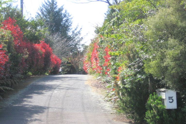 Photo of property in 5b Springfield Road, Springfield, Rotorua, 3015