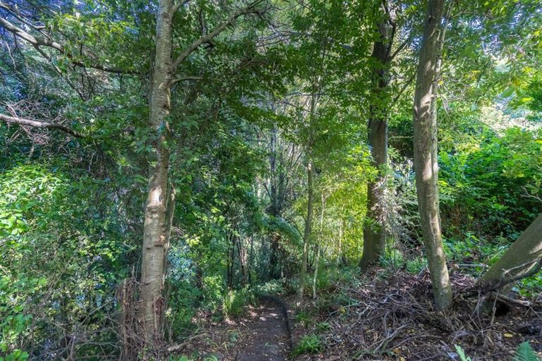 Photo of property in 20a Mcgeorge Avenue, Mornington, Dunedin, 9011