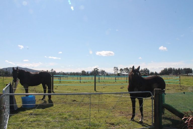 Photo of property in 114 White Road, Broadlands, Reporoa, 3081