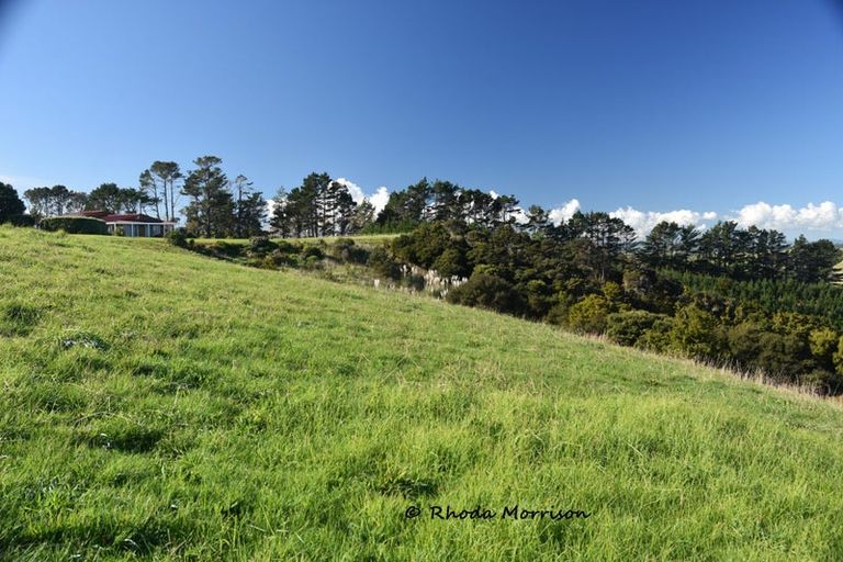 Photo of property in 986 Tinopai Road, Tinopai, Matakohe, 0593