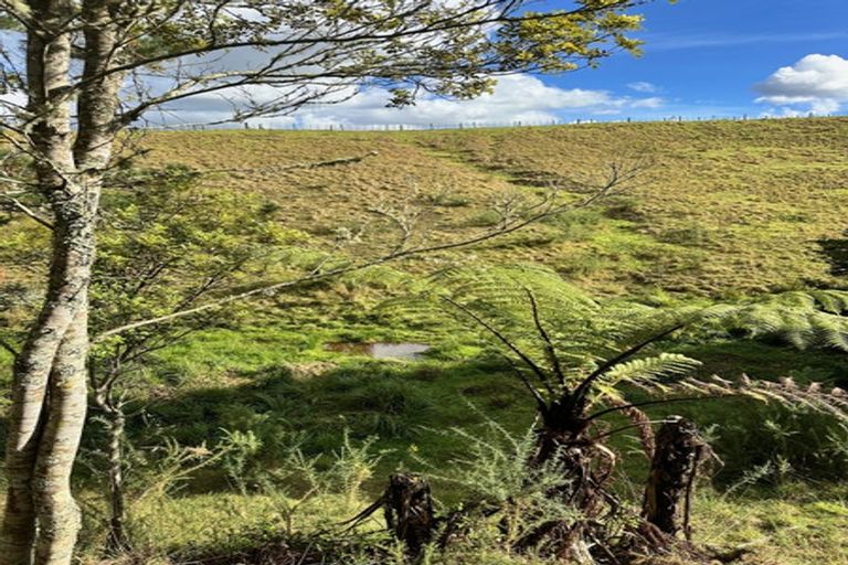 Photo of property in 509 Wiroa Road, Kerikeri, 0293