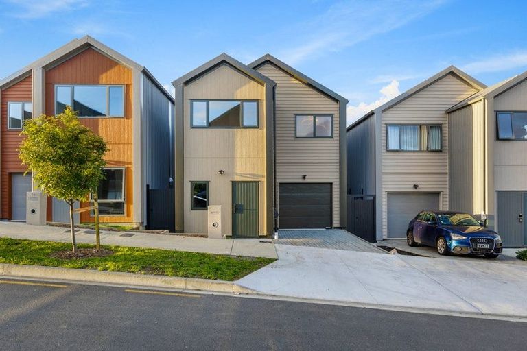 Photo of property in 78 Waterlily Street, Hobsonville, 0616