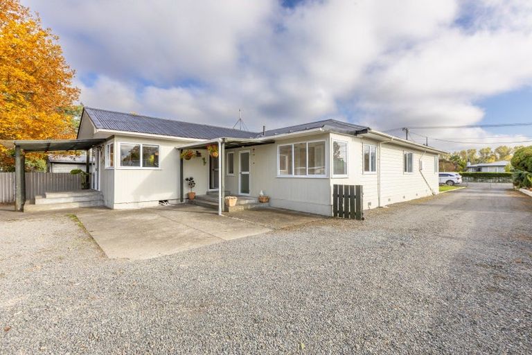Photo of property in 38 Francis Drake Street, Waipukurau, 4200