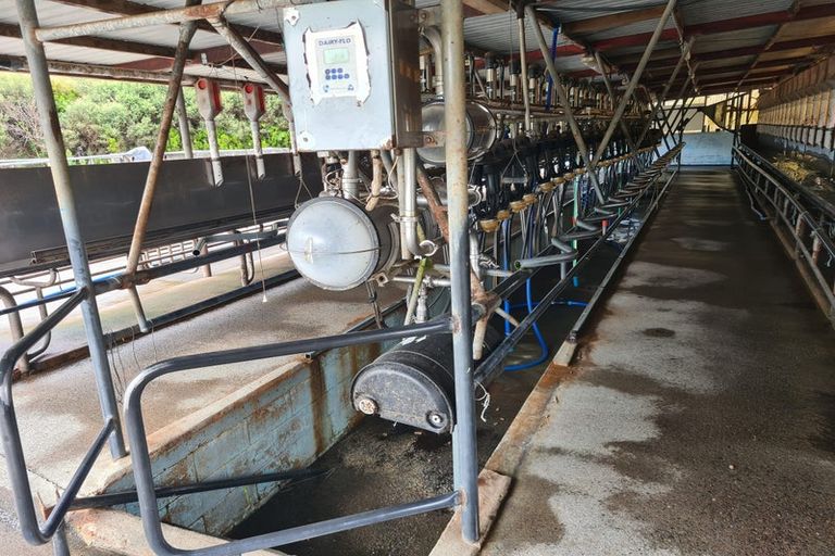 Photo of property in 2386 Tarata Road, Tarata, Inglewood, 4387