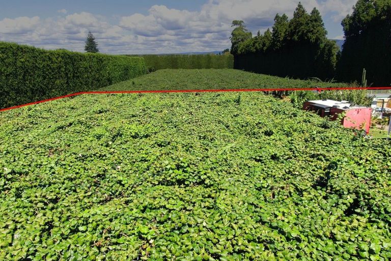 Photo of property in 186 Beach Road, Katikati, 3178