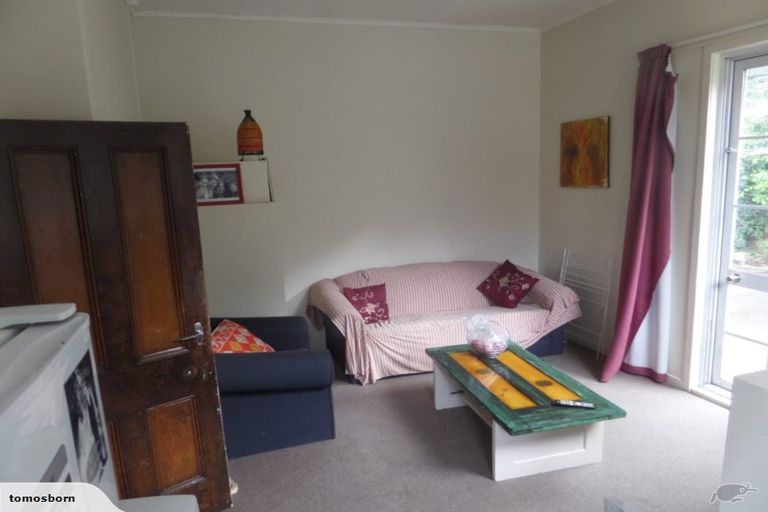 Photo of property in 19 Lees Street, Dunedin Central, Dunedin, 9016