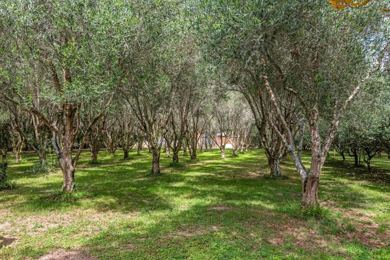 Photo of property in 49 Joblins Road, Levin, 5571