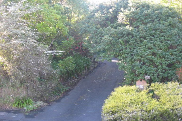 Photo of property in 49 Joll Road, Havelock North, 4130